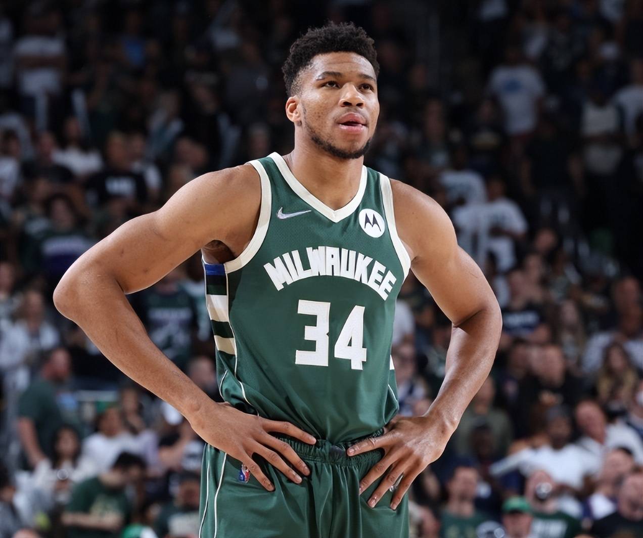 portal-homepage-layout