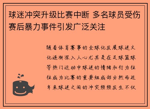 球迷冲突升级比赛中断 多名球员受伤赛后暴力事件引发广泛关注